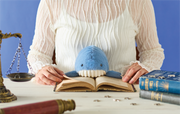 Posture Pal - Marine - Collector Pick