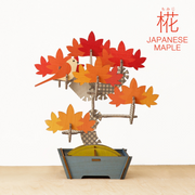 Play Plants Bonsai Puzzles - Classic Ready